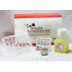 Global Cell Solutions Adhesion Assay Kit GKT-5002, Unit EA