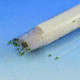 Globe Capillary Tube Plastic PK1000 51684