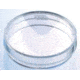 Greiner Bio-One Dish POLY-D-LYSINE60X15MM CS10 628940