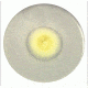 Himedia Laboratories PIKOVSKAYA'S Agar 500GM M520-500G
