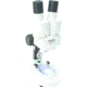 Konus 20x32x Steroscopical LED Microscope Amber w/2 Pair WF 10x and WF 16x Eyepieces 5032