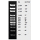 Labnet Enduro Molecular Weight Markers 100 bp DNA Ladder R1000-100BP