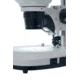 Levenhuk 20-40x 4ST Binocular Microscope, White, Middle, 76055