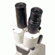 Levenhuk 2ST Microscope, White, Medium 35322