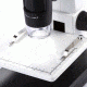 Levenhuk DTX 500 LCD Digital Microscope, White, Small 61024