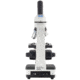 LW Scientific Advanced Student Microscope with Achromate Objectives, CREAM EDM-M04A-DALP