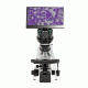 LW Scientific Innovation Trinocular Microscope w/ BioVIEW Camera and  Monitor, INS-T4BV-IPL3