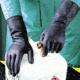 Mapa/Spontex Pioneer Corp Glove Neop NS-420 PK12PR S 420426
