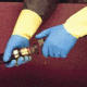 Mapa/Spontex Pioneer Corp Glove Neop PK-12PR 6-6-1/2 405426