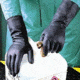 Mapa/Spontex Pioneer Corp Glove Tech Neop NS-401PK12PR M 401447