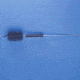 Mill-Rose Brush Bottle 12IN PK5 72220B