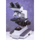 Motic Instruments B1-220ASC Compound Microscope PB12.211.101