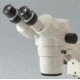 Motic Instruments Head Only SMZ-168-BH PX66.000.001