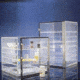 Nalge Nunc Desiccator Cabinet 18X12X12 5317-0180