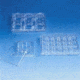 Nalge Nunc Multidish 4WELL W Lid CS30 172742