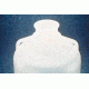 Nalge Nunc Sanitary Carboys with Handles, Polypropylene, NALGENE 2670-0300 Accessories