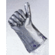 North Safety Products/Haus Glove Silver SZ6 2.7MIL PK10 SSG/6