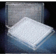 Nunc 384 Well Plate Wht Ns CS100 262360