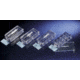 Nunc Slide 8-CHAMBER System PK16 154941