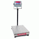 Ohaus Bench Scale 150lb X .02lb D31P60BR, Unit EA