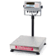 Ohaus Bench Scale 600lb X 0.1lb D71XW300HX2, Unit EA