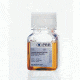 PAA Laboratories Fbs Organic 500ml A15-529, Unit EA