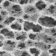 Pall Nylaflo Membrane Disc Filters, Pall Life Sciences 66609