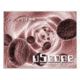 PixeLINK µScope Essentials Microscopy Software 06386-01