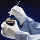 Protective Industrial Products Glove Cotton Mens Ltwt PK12PR 500