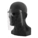 Revision Sawfly Legacy Eyewear System w/ Face Shield, Clear, Regular, 4-0090-9010
