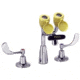 Speakman Comination EYEWASH+FAUCET SEF-1800