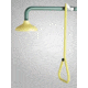 Speakman Emergency Shower Overhead SE-227