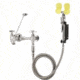 Speakman Eyewash + Janitorial Faucet SEF-9000