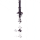 Spectrum Chromatography Plunger Adjustable 5.0 Cm 125139