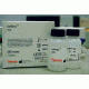 Thermo Clinical Chemistry Ammonia (INFINITY) TR60101