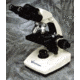 Vwr Microscope Compound Monclr 11389-202