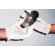 Wells Lamont Glove Liner Lady S Bg 12PR M41S