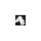 Wells Lamont Glove Liner Nyl 1/2 Women BG24 M006W.WLC, Bag