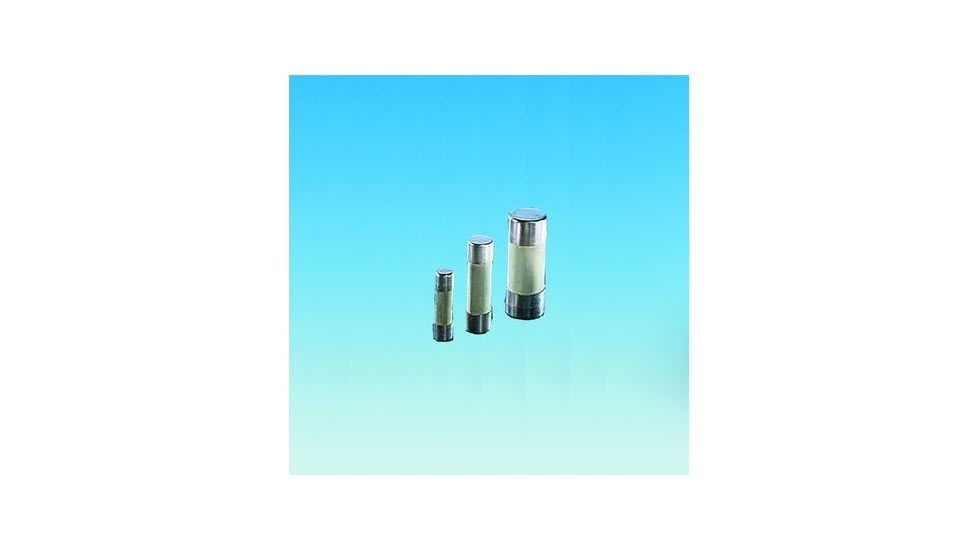 Ace Glass Laboratory Glassware and Equipment PK5 10 Amp Fuse Fast Act 12117-10