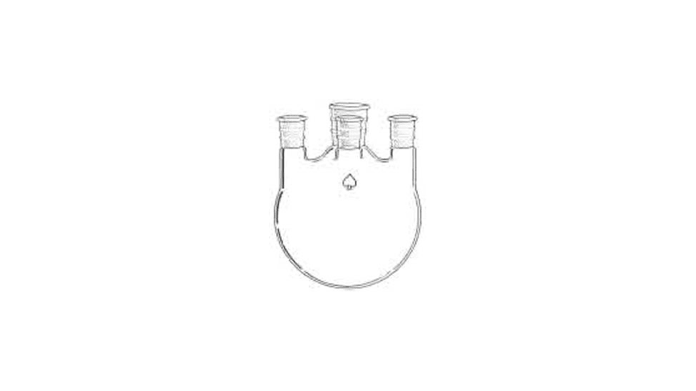 Ace Glass Laboratory Glassware and Equipment 22L 71/60-24/40 Hw Flask 6952-88