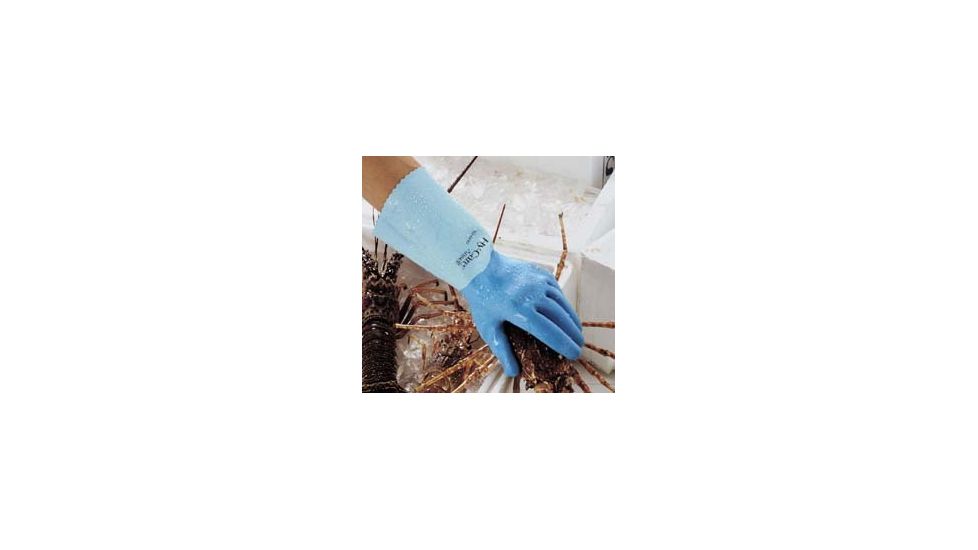 Ansell Healthcare Glove Latex 62-400 10 PK12 285654