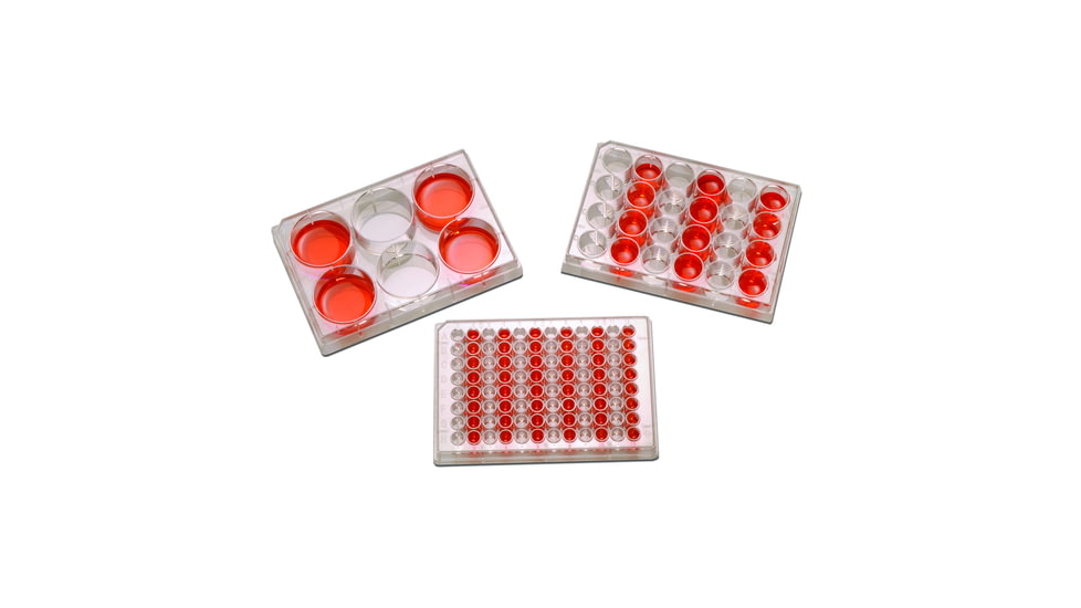 Argos Plate Tissue Cult 24well Cs100 P1024, Unit CS