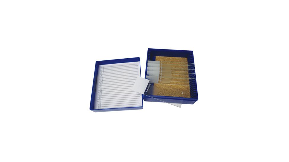 Azer Scientific Control SLIDE, Trichrome ESCS-129