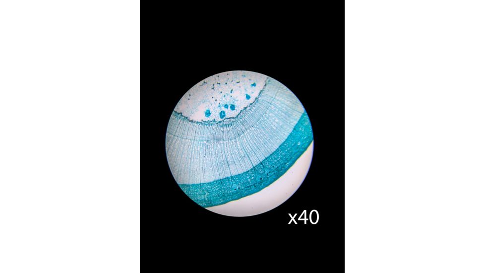 Barska Student Monocular Compound 40-640x Microscope, White AY13286
