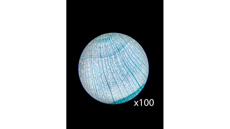Barska Student Monocular Compound 40-640x Microscope, White AY13286