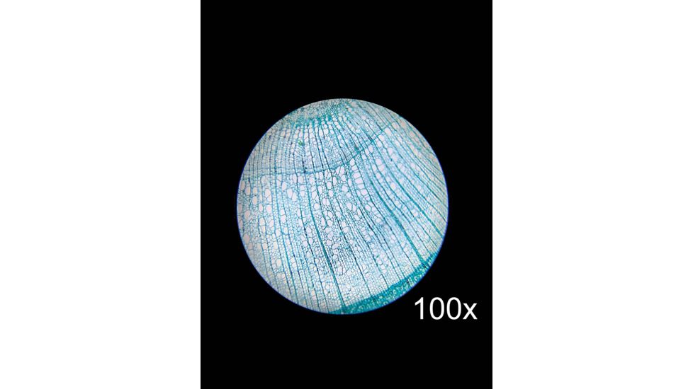 Barska Student Monocular Compound 800x Microscope, White, Small AY13110