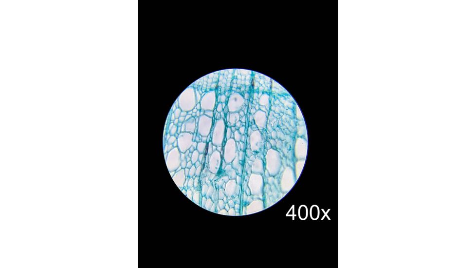 Barska Student Monocular Compound 800x Microscope, White, Small AY13110