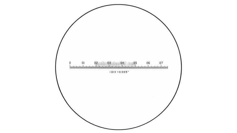 Inch Scale measures 81-34-37