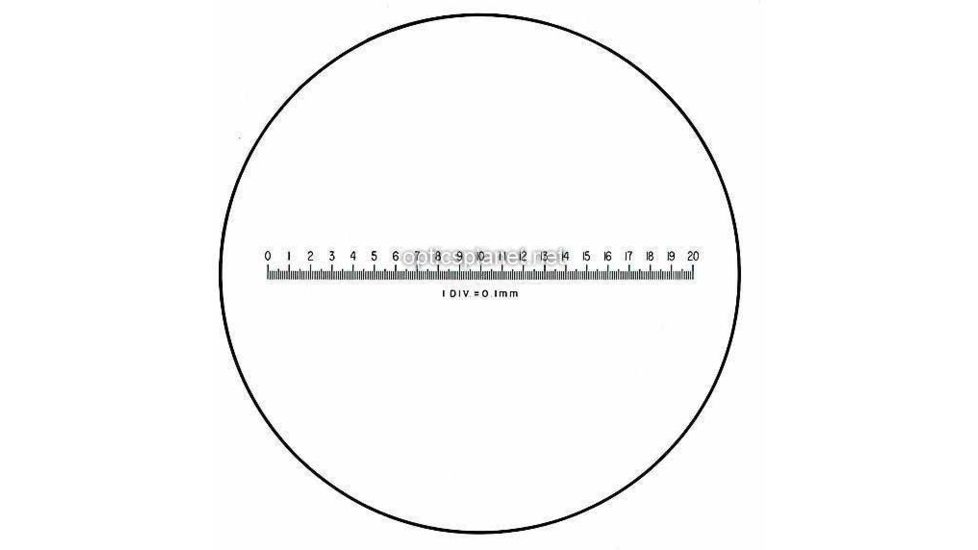 Metric Scale measures 81-34-38