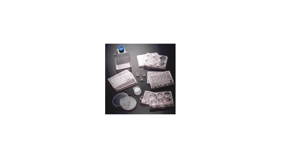 BD BioCoat Cellware, Each, Laminin, BD Biosciences Multiwell Plates With Poly-L-Ornithine/Laminin 24-Well, 354659